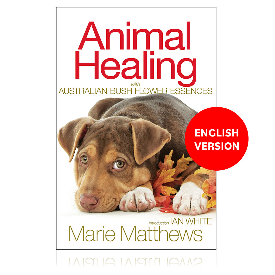Animal Healing with ABFE [EN]